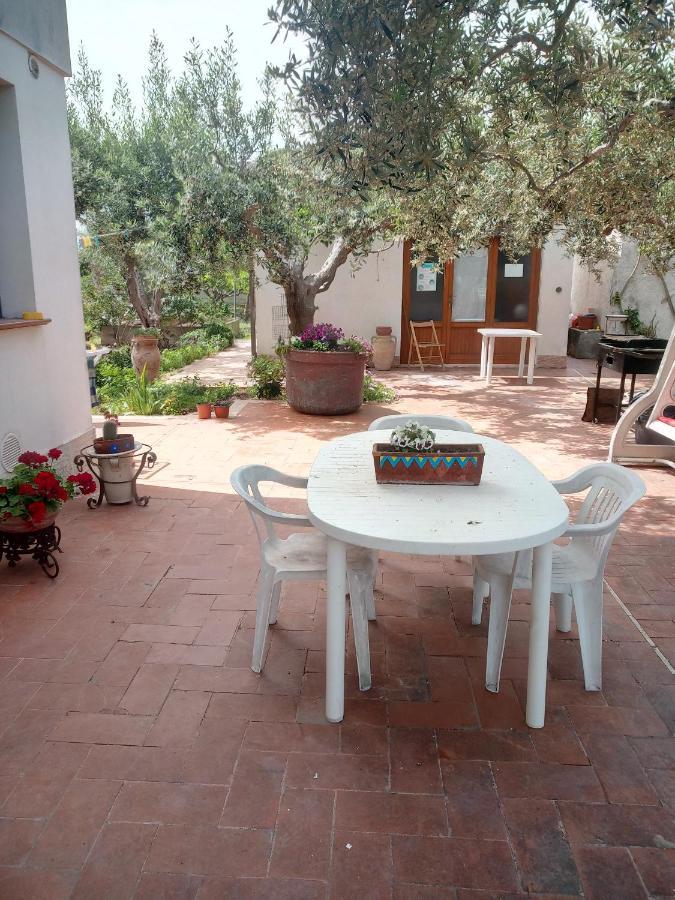 Dhalia Appartamenti Τράπανι Εξωτερικό φωτογραφία